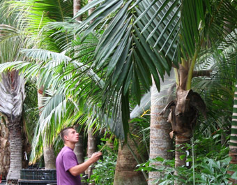 Advies m.b.t. het onderhoud